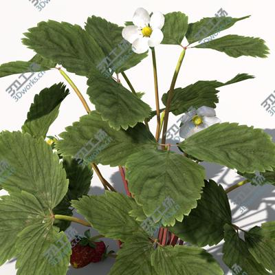 images/goods_img/2021040231/XfrogPlants Agriculture/5.jpg